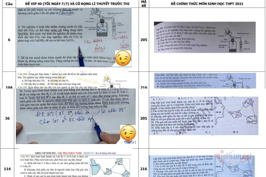 Bộ GD-ĐT xác minh vụ đề ôn tập ở Hà Tĩnh giống đến 80% đề thi tốt nghiệp