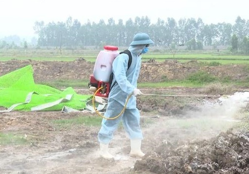 Bắc Ninh quyết tâm phòng, chống dịch cúm gia cầm H5N8 trên tinh thần chủ động, kiên quyết, sáng tạo