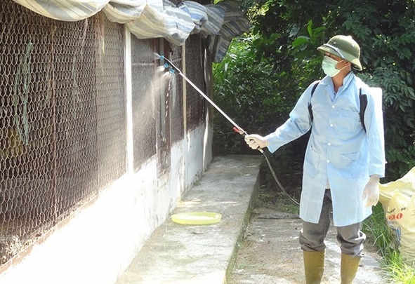 Hướng dẫn người dân cách khử trùng, tiêu độc đúng cách