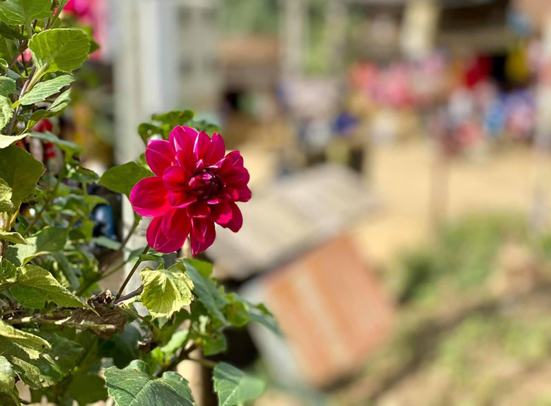 Kết cục không ngờ sau lời đề nghị một mối 'quan hệ mở' với bạn trai