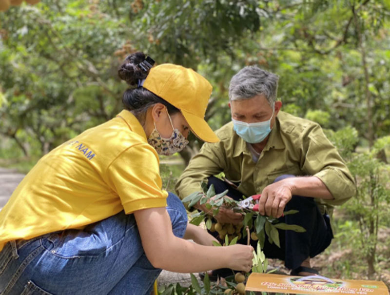 Chính thức công nhận thương hiệu ‘Nhãn Sơn La’