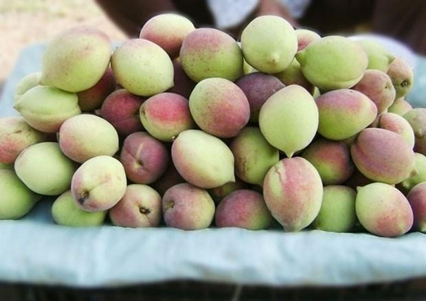 Những điều cần tránh khi ăn quả đào để không rước độc vào thân