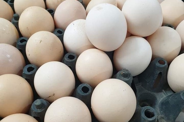 Mỗi ngày, TP.HCM thiếu 400.000 quả trứng và 1.500 tấn rau củ