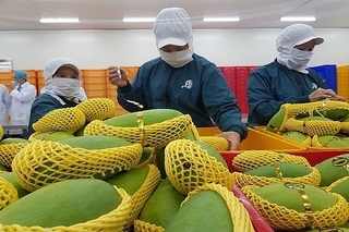 Vietnam-China bilateral trade: overcoming chronic weaknesses