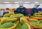 Vietnam-China bilateral trade: overcoming chronic weaknesses