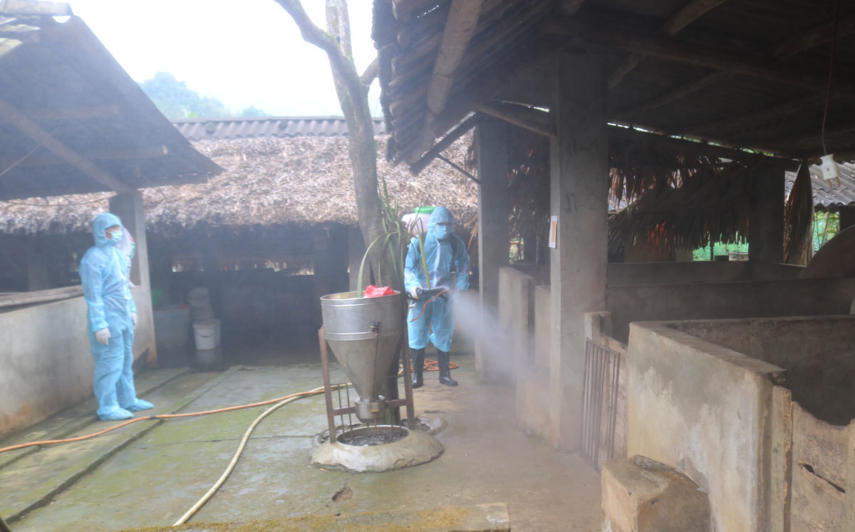 Hà Nam cấp phát hơn 7000 lít hóa chất khử trùng, tiêu độc khu chăn nuôi gia súc