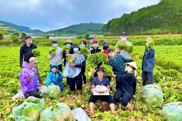 ‘Bữa tiệc sinh nhật’ trên cánh đồng rau ở Lâm Đồng