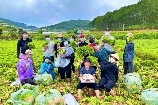 'Bữa tiệc sinh nhật' trên cánh đồng rau ở Lâm Đồng