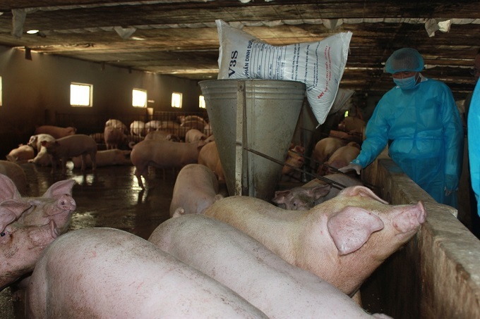 Đồng Nai triển khai chiến dịch phòng chống dịch lở mồm long móng 2021