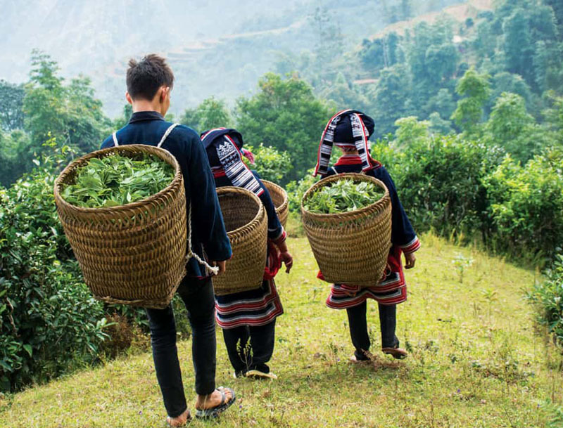 Bắc Quang đầu tư vào nhóm sản phẩm OCOP để thúc đẩy thương hiệu Việt