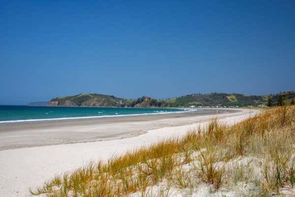 Giới siêu giàu New Zealand vội vàng giữ tài sản