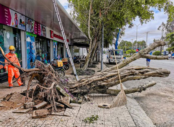 Strong winds, rains kill 2 in Mekong Delta, destroy houses, trees