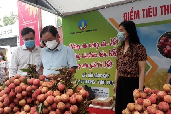 Mở 5 điểm kết nối tiêu thụ nông sản Việt tại Hà Nội
