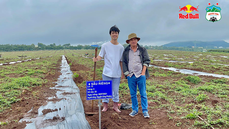 Công Phượng, Tuấn Anh cùng bầu Đức trồng sầu riêng