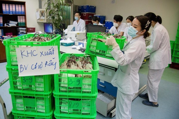 Flight at 1 a.m. transports 1,000 units of blood to HCM City