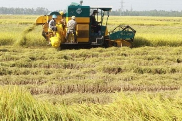 Năm 2020, An Giang phấn đấu giảm tỷ lệ hộ nghèo xuống dưới 3%