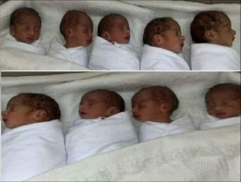 Ai là người mẹ sinh 9 đứa con tại Trung Quốc?
