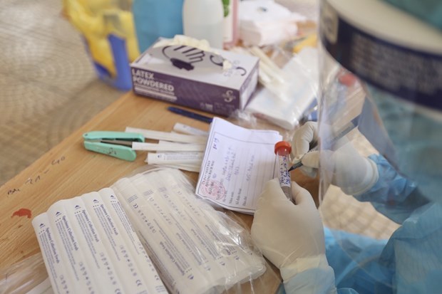 COVID-19 infections total 8,260, HCM City leads with 4,052