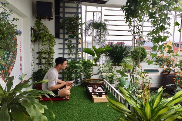 Ông bố câu cá, trồng rau trên sân thượng khi ở nhà tránh dịch