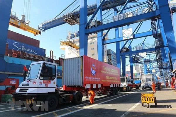 HCM City port stops receiving imports as containers pile up