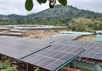 Many rooftop solar power projects camouflage as farms in Central Highlands