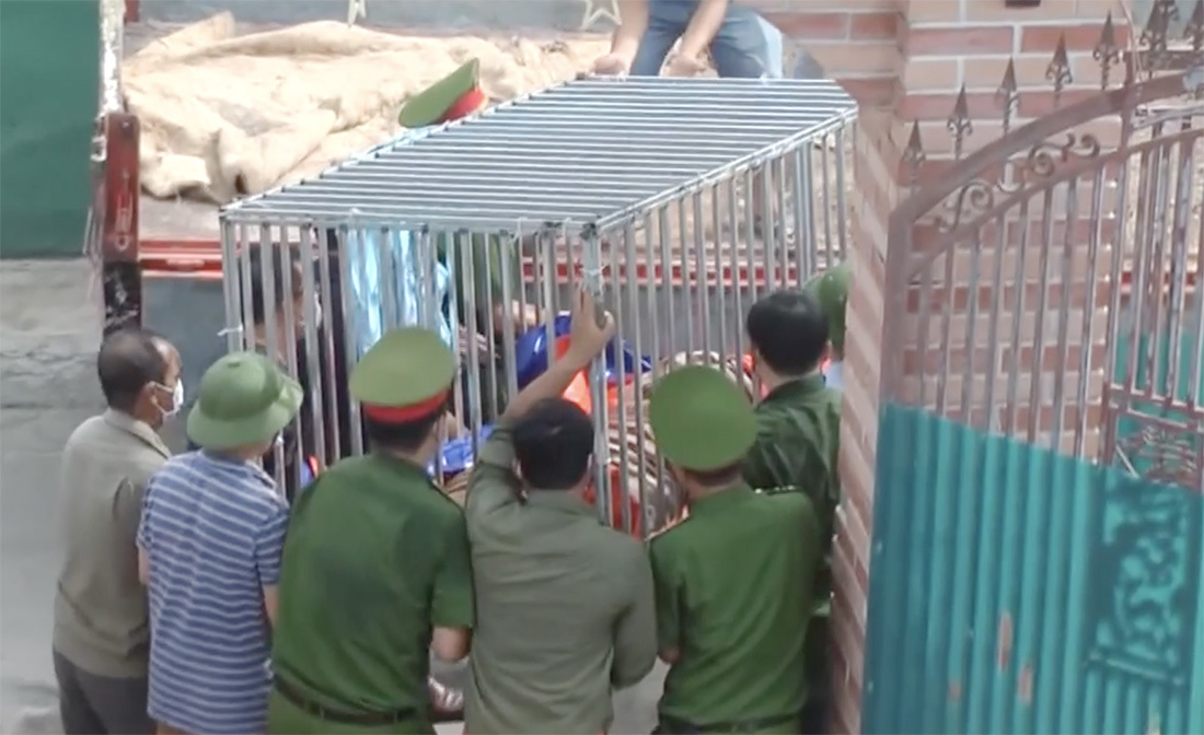 Hình ảnh chuồng sắt nhốt 17 con hổ như nuôi lợn trong nhà dân ở Nghệ An