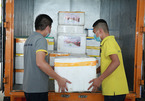 Delivery competition turns more challenging during pandemic