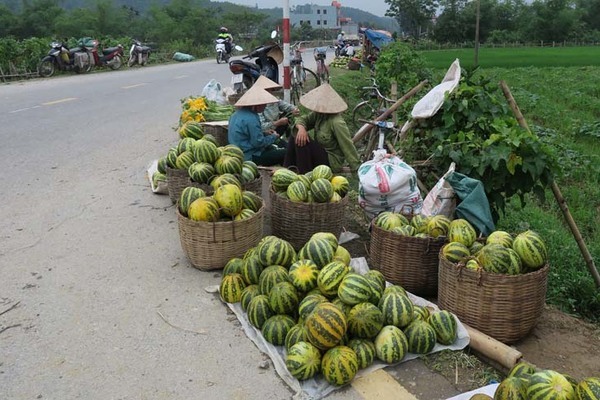 Gắn kế hoạch tiêu thụ nông sản với xúc tiến thương mại