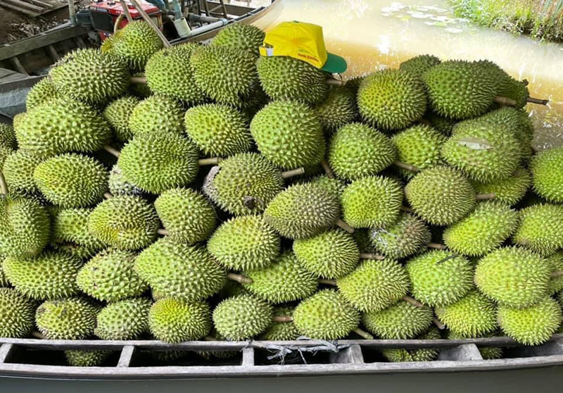 Nông sản Việt tìm cách thích ứng với quy định mới tại thị trường Trung Quốc
