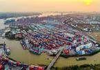 Bộ GTVT báo cáo Thủ tướng giải pháp giải phóng hàng tồn ở cảng Cát Lái