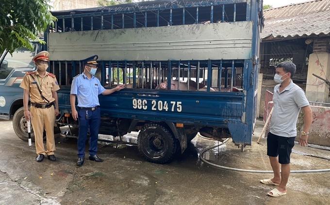 Bắc Giang xử phạt đối tượng vận chuyển động vật không có giấy kiểm dịch
