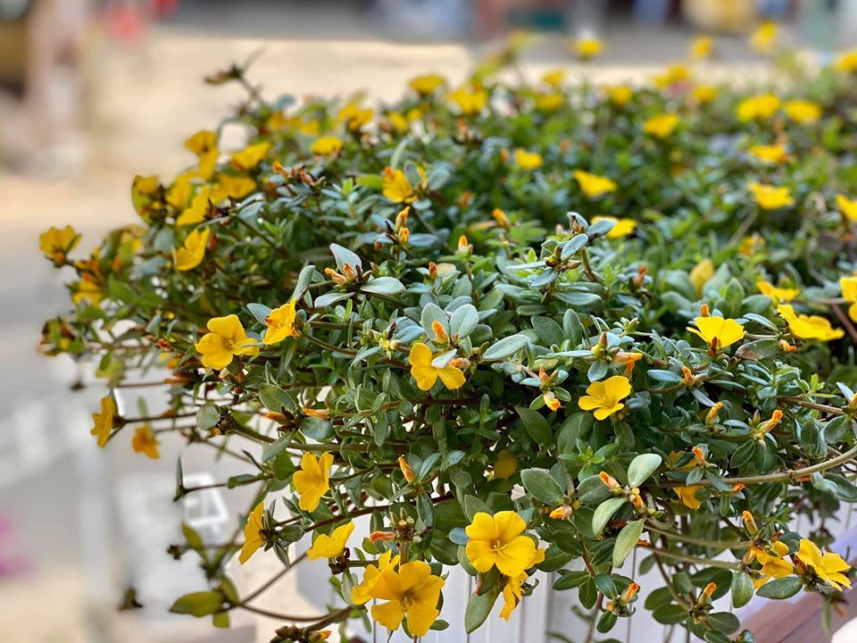 Phát hiện chồng ngoại tình nhờ một sơ hở trong thay đổi thói quen