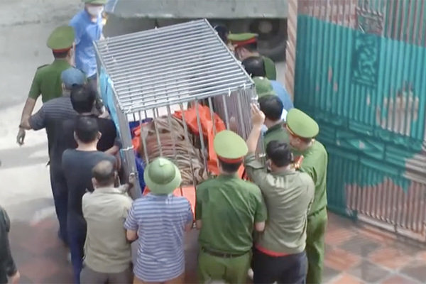 Video Công an Nghệ An đột kích bắt giữ 17 cá thể nuôi trái phép