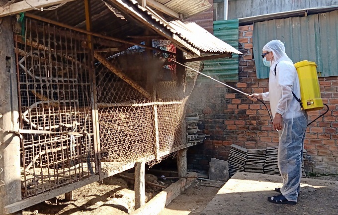 Nha Trang triển khai vệ sinh, tiêu độc môi trường chăn nuôi