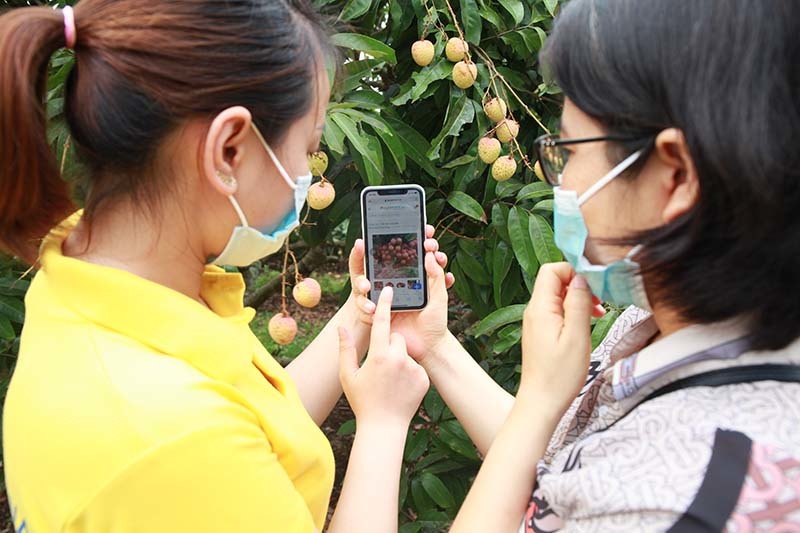 “Gian hàng Việt trực tuyến”- giải pháp chuyển đổi số, tiếp sức doanh nghiệp vượt qua Covid-19