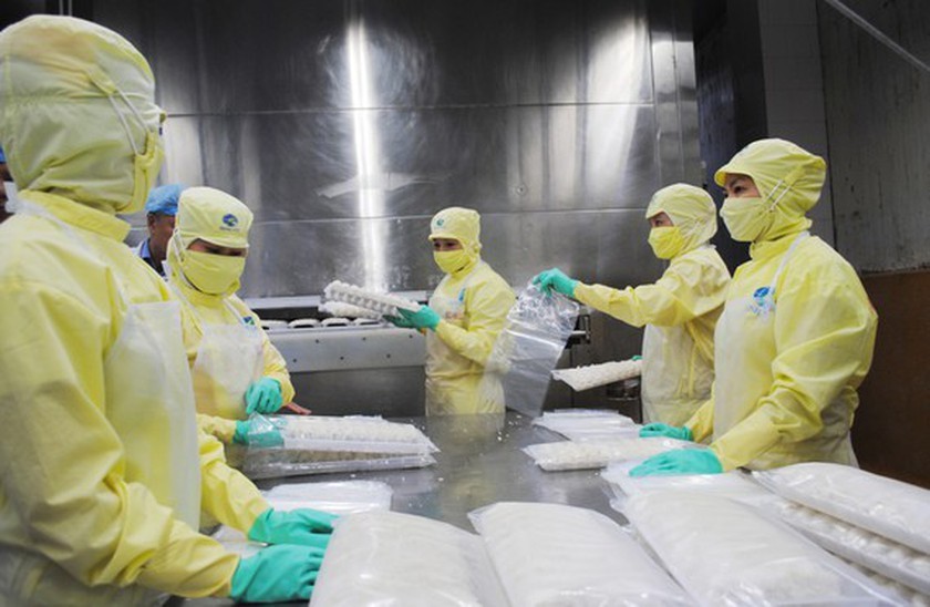 Mekong Delta provinces strive to maintain advantage of shrimp industry