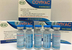 Ngày mai, vắc xin Covivac bắt đầu thử nghiệm giai đoạn 2