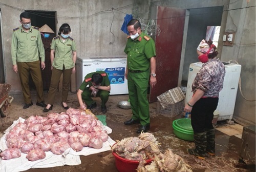 Phòng ngừa dịch bệnh xâm nhiễm: Thái Nguyên bắt giữ 3 tấn gia cầm không đảm bảo chất lượng
