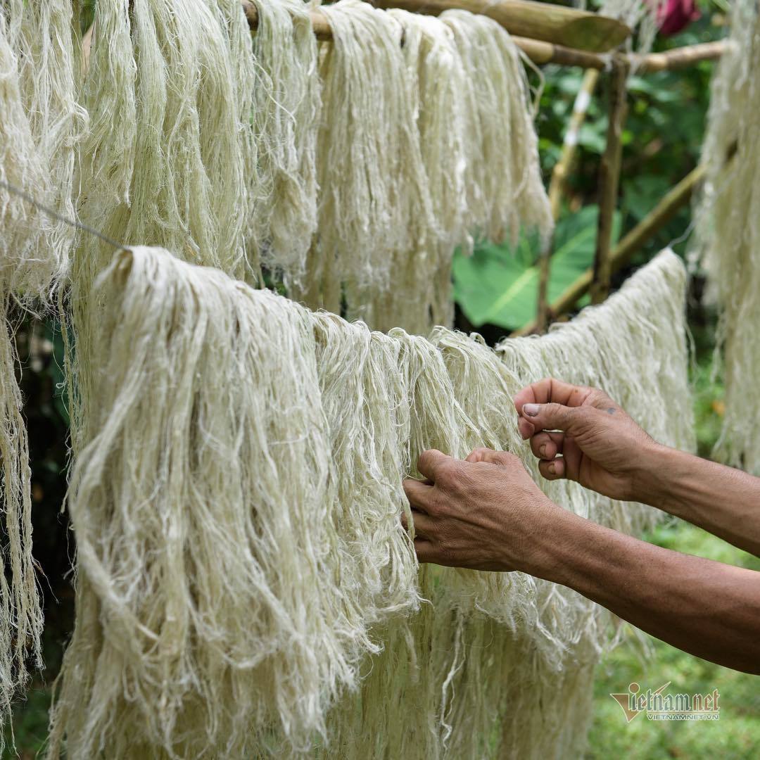 Biến lá dứa thành sợi để may hàng thời trang