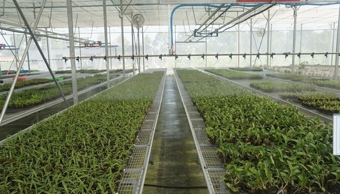 TPHCM phấn đấu đến 2030 trên 30% hợp tác xã SXNN ứng dụng công nghệ cao