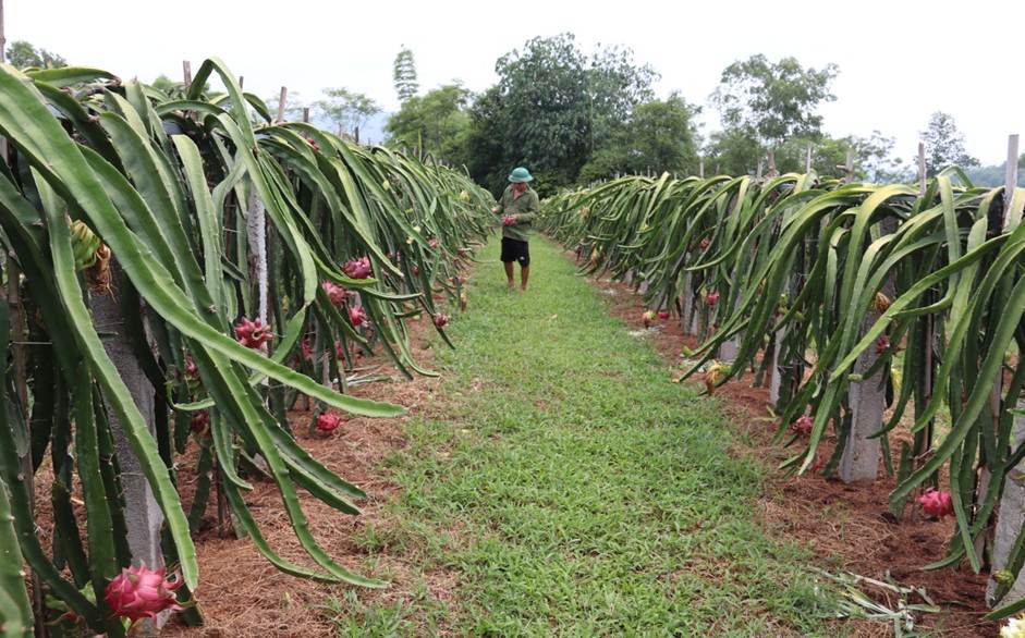 Vĩnh Phúc tạo điều kiện cho DN ứng dụng các tiến bộ khoa học kỹ thuật vào sản xuất