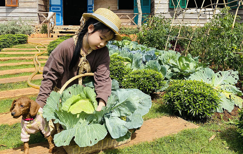 Người mẹ trẻ dựng nhà, trồng rau để sống chậm trong dịch
