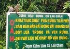 Monkeys cause chaos during social distancing orders on Cham Islands