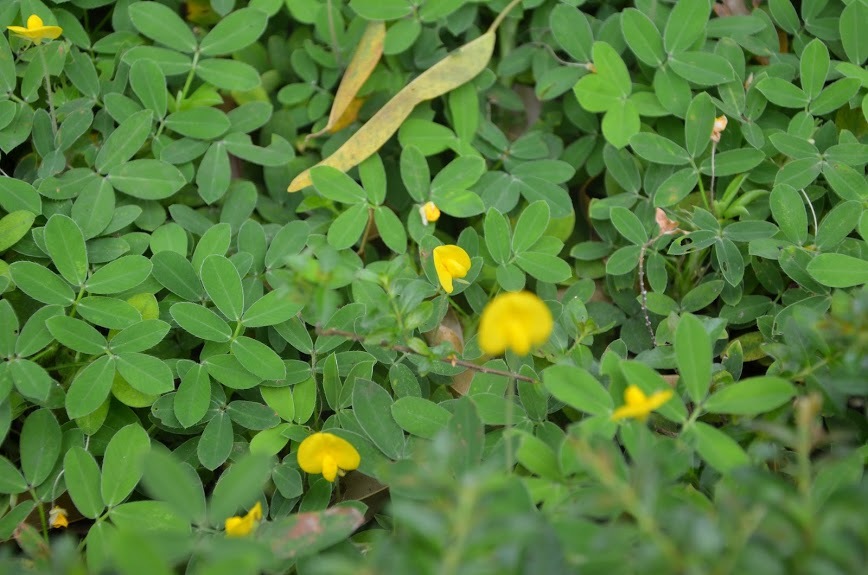 Đặc điểm của người chồng có phải giữ kẻo mất khó tìm