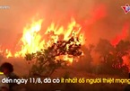Hàng chục người chết vì cháy rừng ở Algeria, hỏa hoạn bùng phát ở Italia