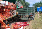 Xe tải chở hoa quả đối đầu container, một tài xế tử vong