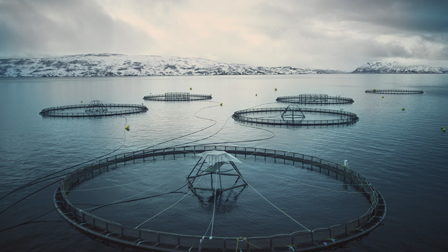 Việt Nam-Na Uy tăng cường hợp tác kinh tế biển