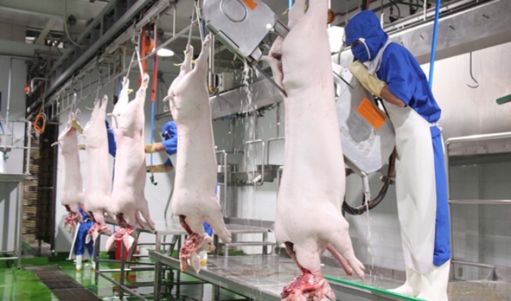 Bình Định khuyến khích đầu tư xây dựng cơ sở giết mổ gia súc, gia cầm tập trung