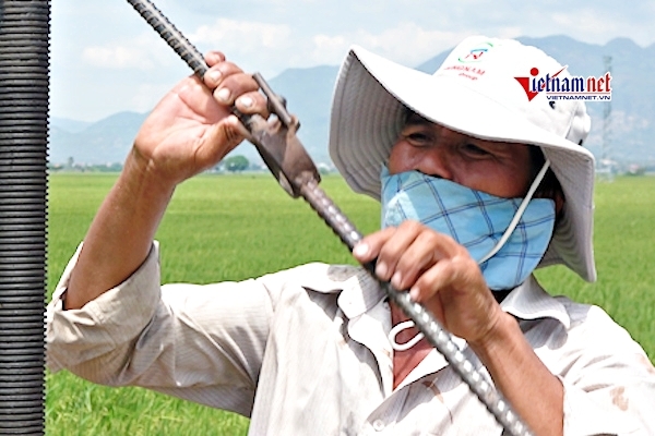 Người đàn ông một mình ‘cứu khát’ 240 ha lúa của làng bị phong tỏa