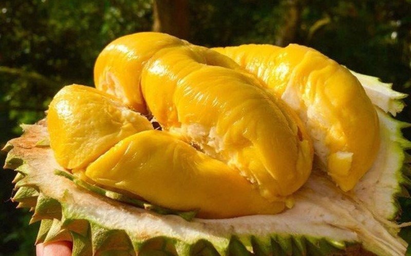 Một mùa ế và lỗ: Thanh long 4 nghìn, na 15 nghìn, cá hồi 120 ngàn/kg